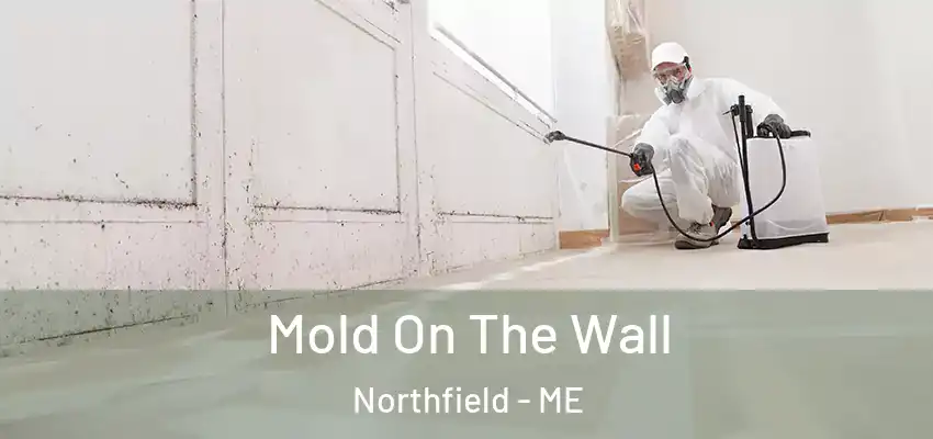 Mold On The Wall Northfield - ME