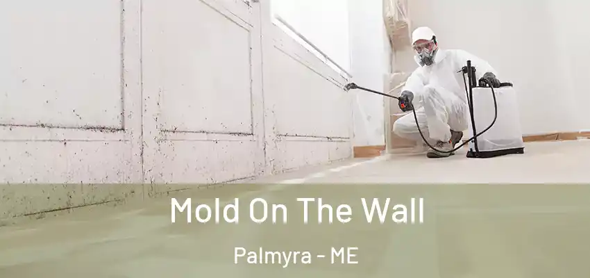 Mold On The Wall Palmyra - ME