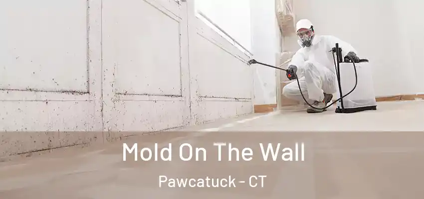  Mold On The Wall Pawcatuck - CT