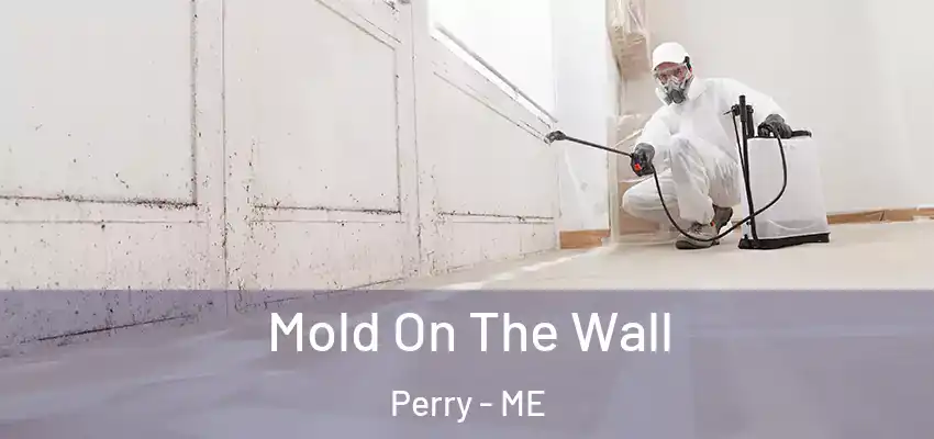 Mold On The Wall Perry - ME