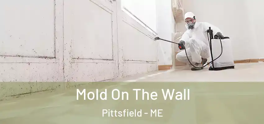  Mold On The Wall Pittsfield - ME