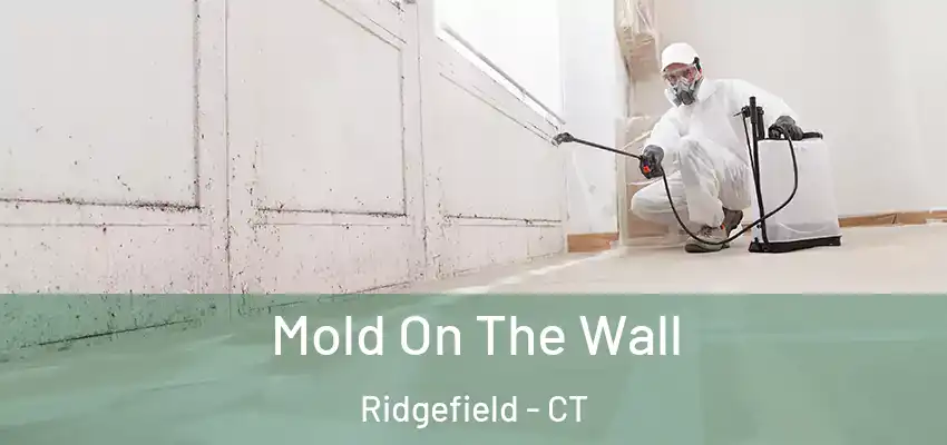  Mold On The Wall Ridgefield - CT