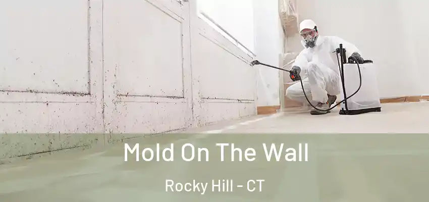  Mold On The Wall Rocky Hill - CT