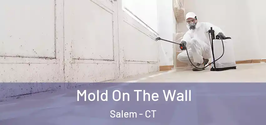 Mold On The Wall Salem - CT