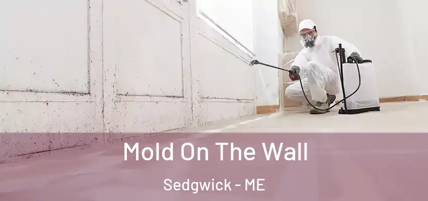 Mold On The Wall Sedgwick - ME