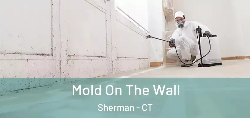Mold On The Wall Sherman - CT