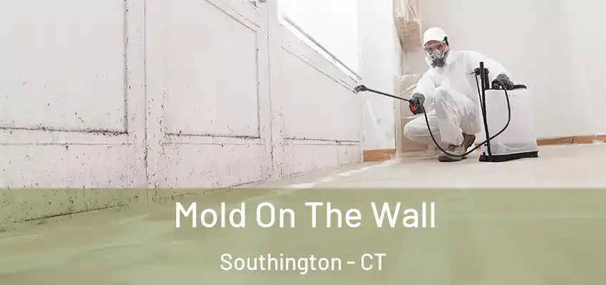 Mold On The Wall Southington - CT
