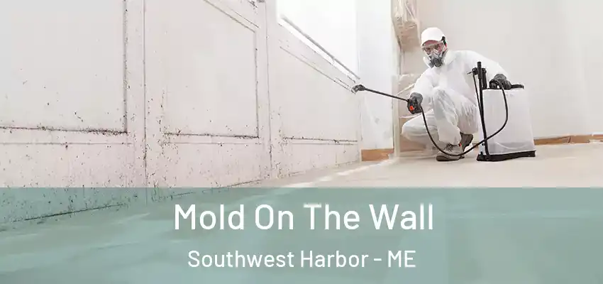  Mold On The Wall Southwest Harbor - ME