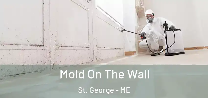  Mold On The Wall St. George - ME