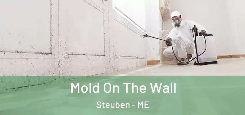 Mold On The Wall Steuben - ME