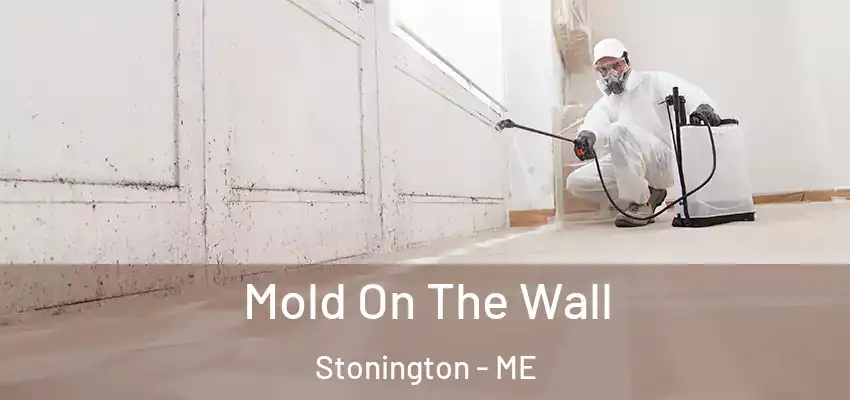 Mold On The Wall Stonington - ME