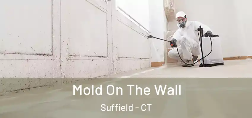 Mold On The Wall Suffield - CT