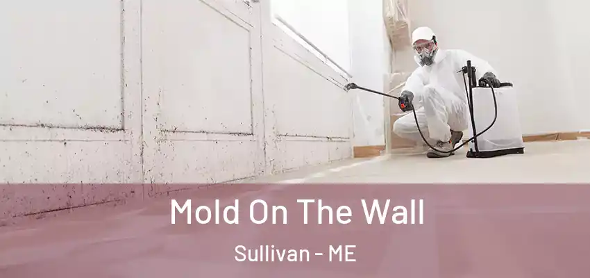 Mold On The Wall Sullivan - ME
