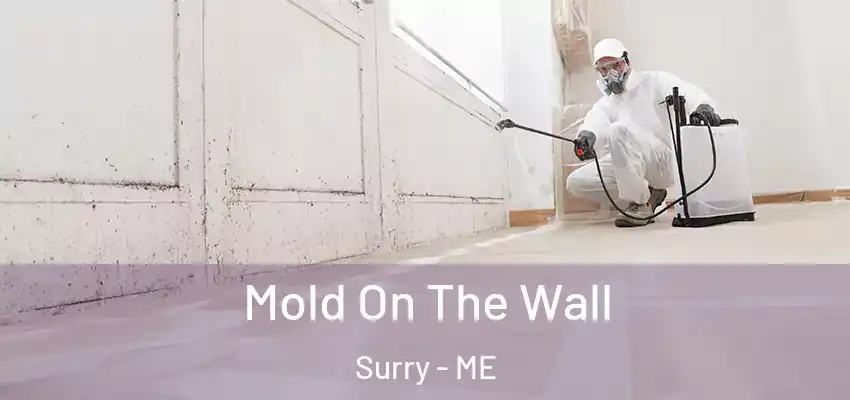 Mold On The Wall Surry - ME