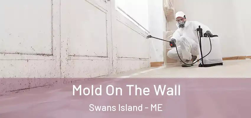  Mold On The Wall Swans Island - ME