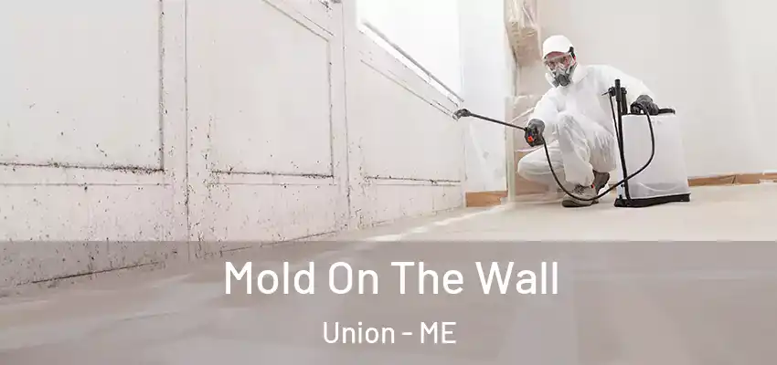Mold On The Wall Union - ME