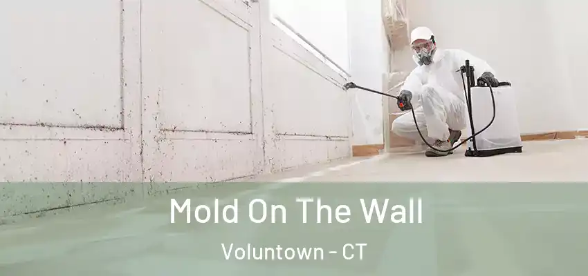  Mold On The Wall Voluntown - CT