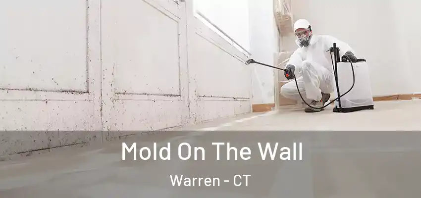  Mold On The Wall Warren - CT