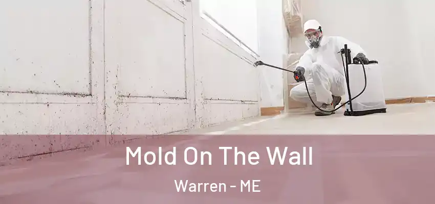 Mold On The Wall Warren - ME