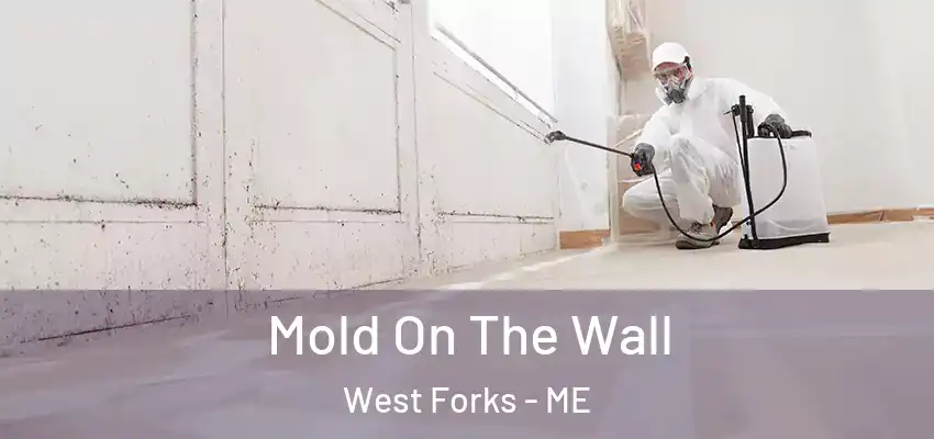 Mold On The Wall West Forks - ME