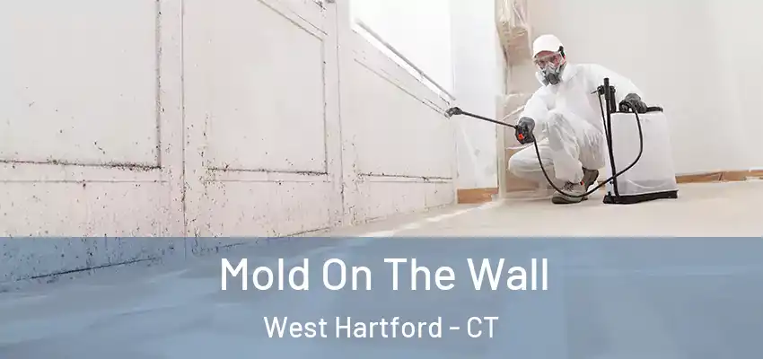 Mold On The Wall West Hartford - CT