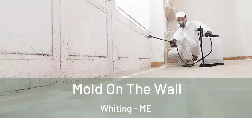 Mold On The Wall Whiting - ME