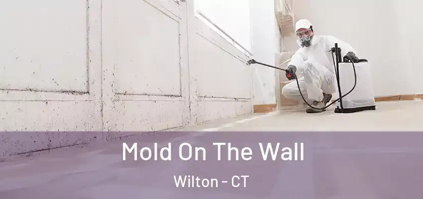 Mold On The Wall Wilton - CT