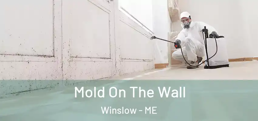  Mold On The Wall Winslow - ME