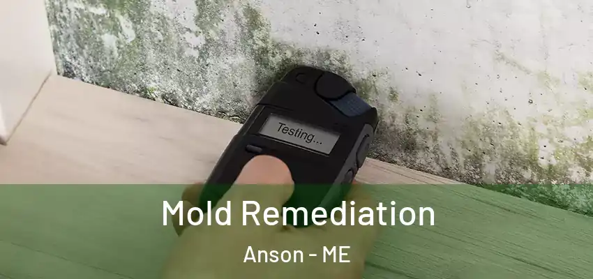  Mold Remediation Anson - ME