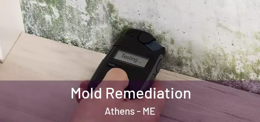  Mold Remediation Athens - ME