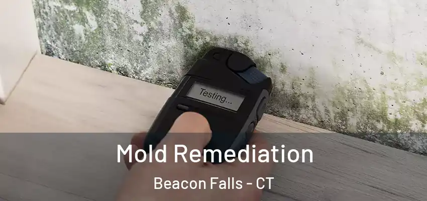  Mold Remediation Beacon Falls - CT
