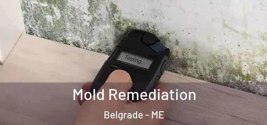 Mold Remediation Belgrade - ME