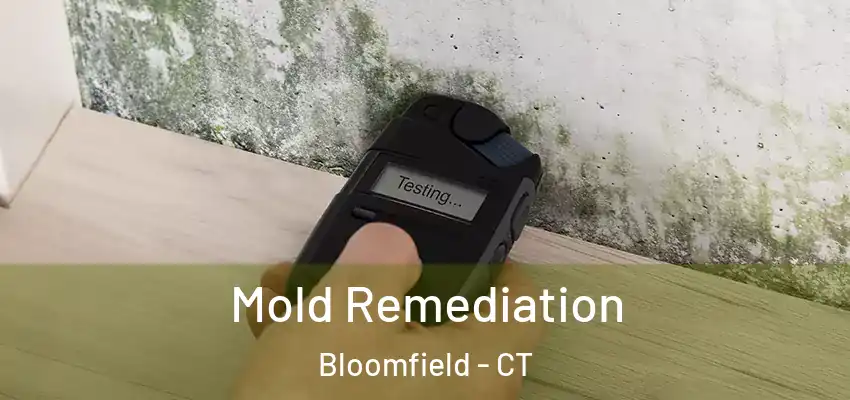  Mold Remediation Bloomfield - CT