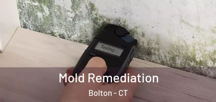 Mold Remediation Bolton - CT