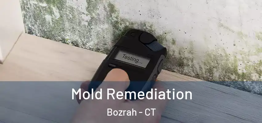 Mold Remediation Bozrah - CT
