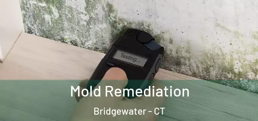 Mold Remediation Bridgewater - CT