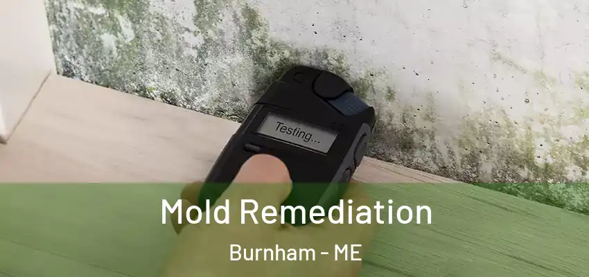 Mold Remediation Burnham - ME