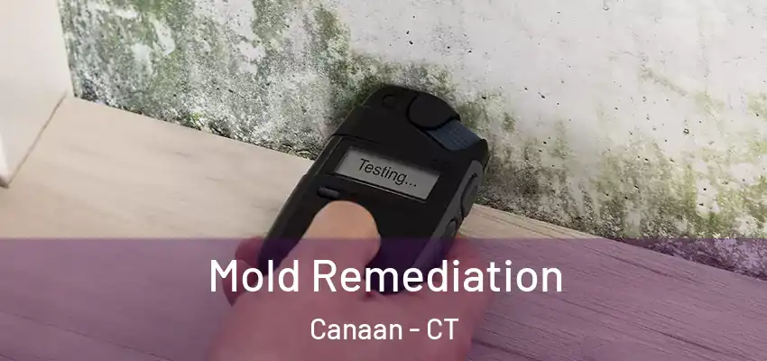 Mold Remediation Canaan - CT