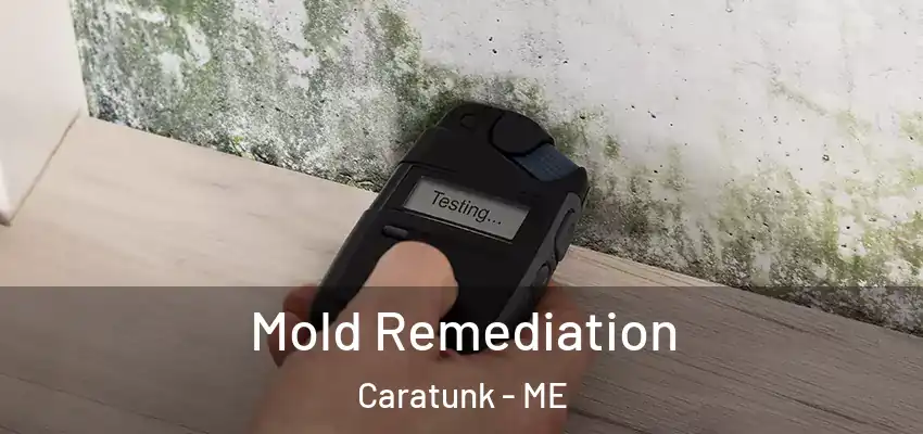 Mold Remediation Caratunk - ME
