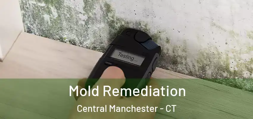  Mold Remediation Central Manchester - CT