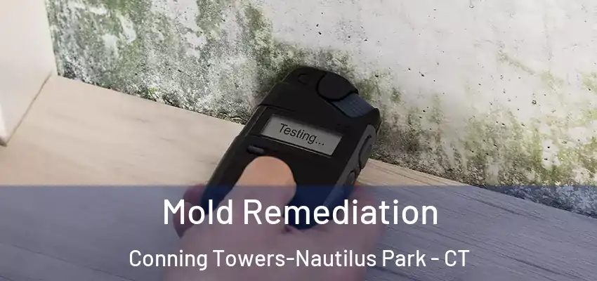 Mold Remediation Conning Towers-Nautilus Park - CT