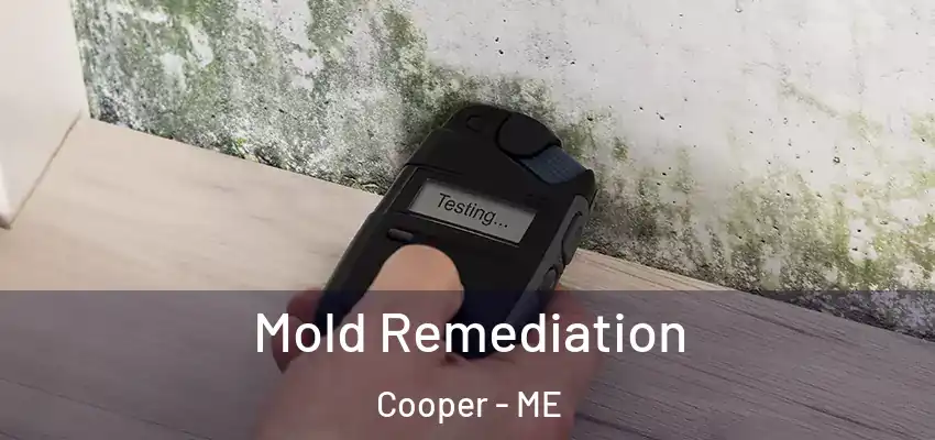  Mold Remediation Cooper - ME
