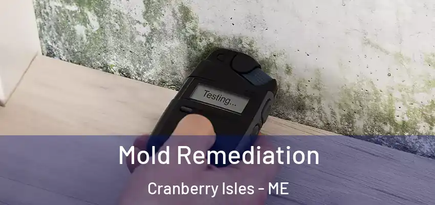  Mold Remediation Cranberry Isles - ME
