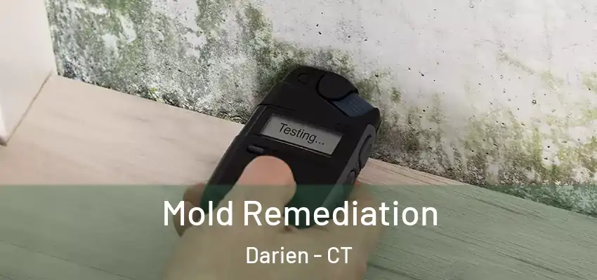  Mold Remediation Darien - CT