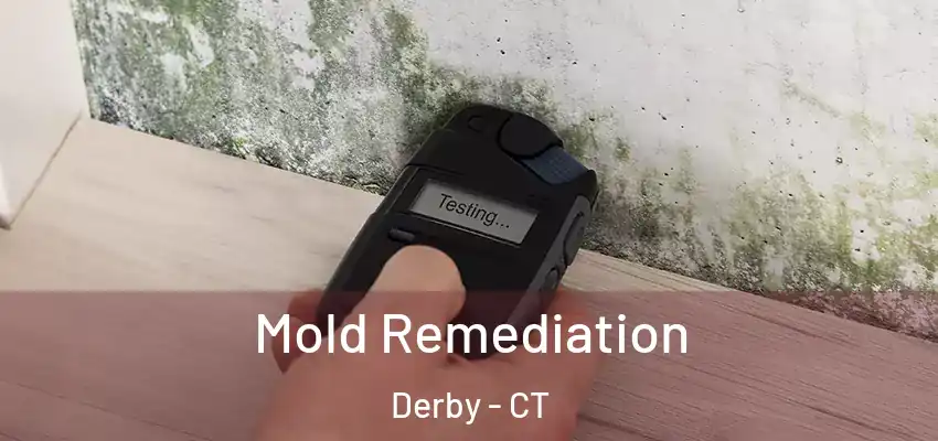 Mold Remediation Derby - CT
