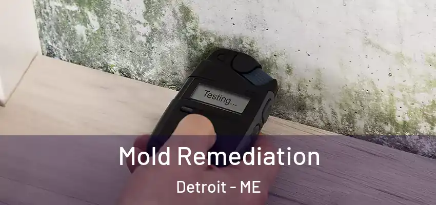 Mold Remediation Detroit - ME