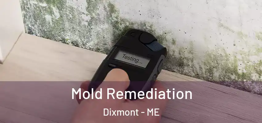 Mold Remediation Dixmont - ME