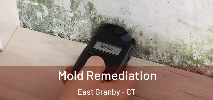  Mold Remediation East Granby - CT