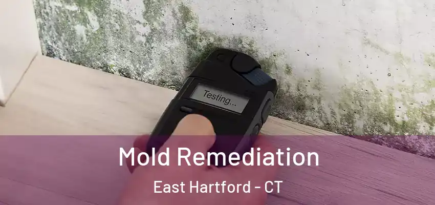 Mold Remediation East Hartford - CT