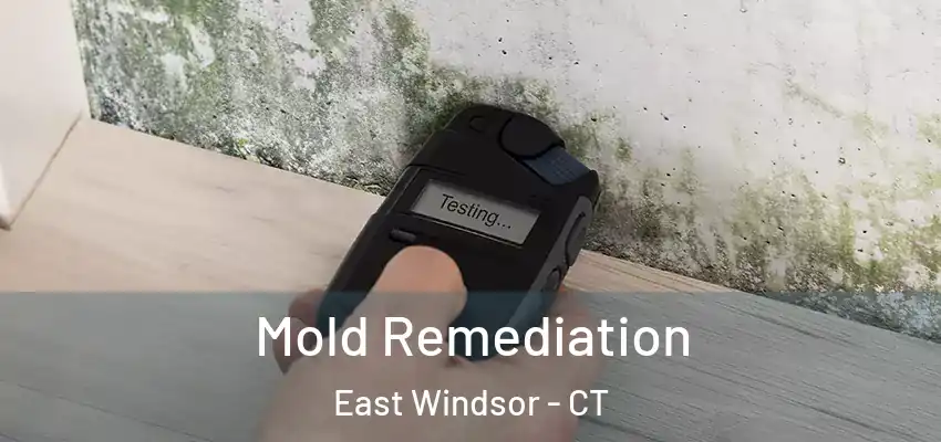  Mold Remediation East Windsor - CT